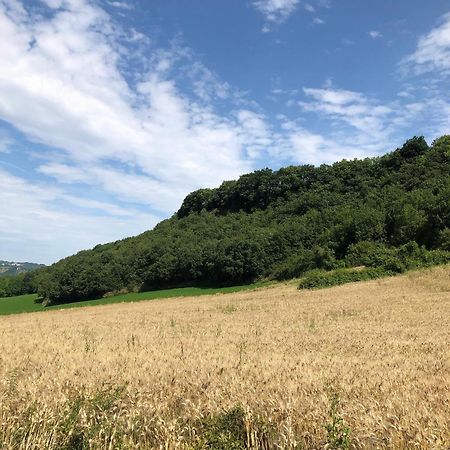Agriturismo L'Esinante Cupramontana Ngoại thất bức ảnh