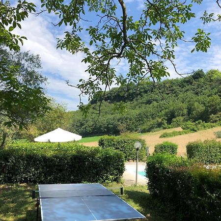 Agriturismo L'Esinante Cupramontana Ngoại thất bức ảnh
