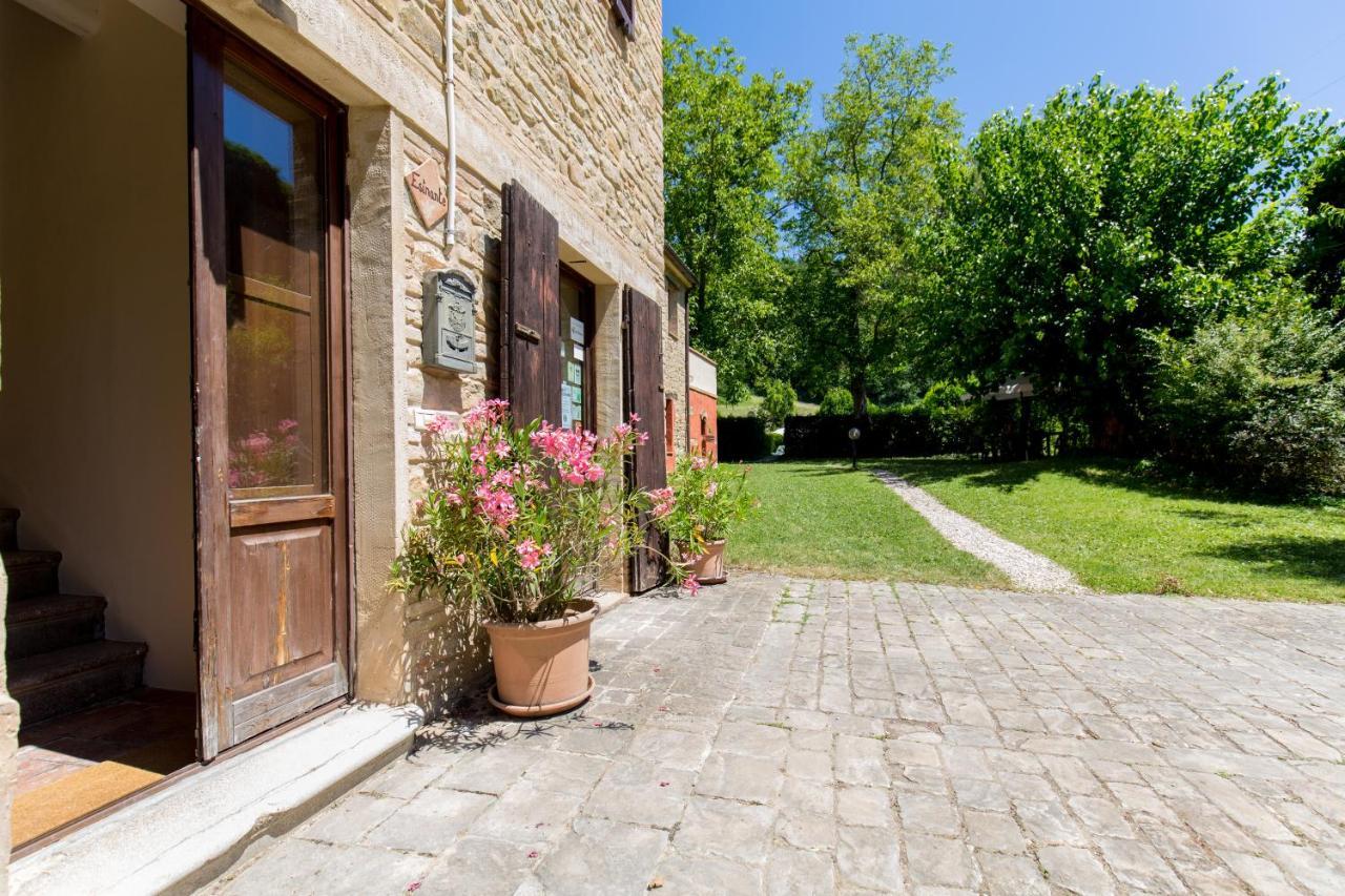 Agriturismo L'Esinante Cupramontana Ngoại thất bức ảnh