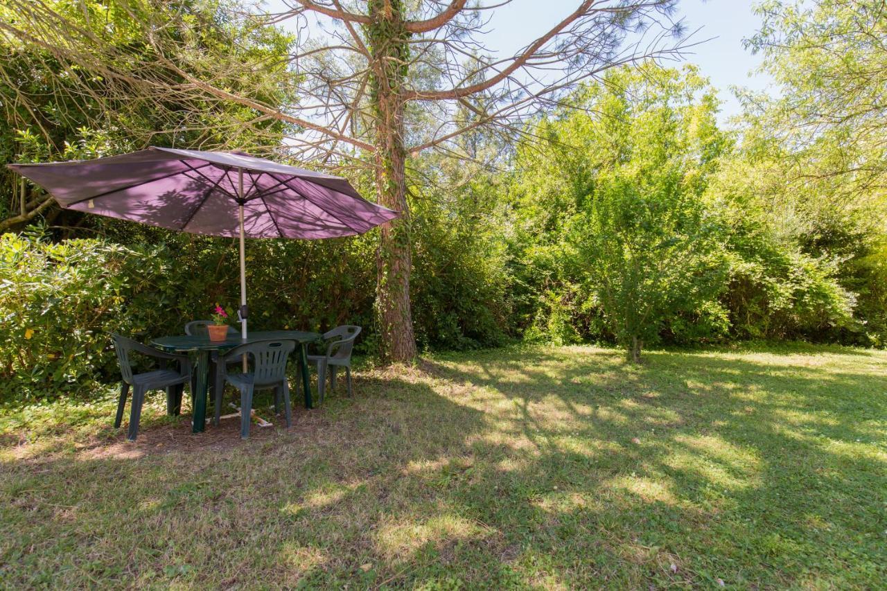Agriturismo L'Esinante Cupramontana Ngoại thất bức ảnh