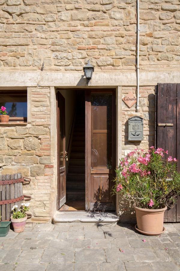 Agriturismo L'Esinante Cupramontana Ngoại thất bức ảnh