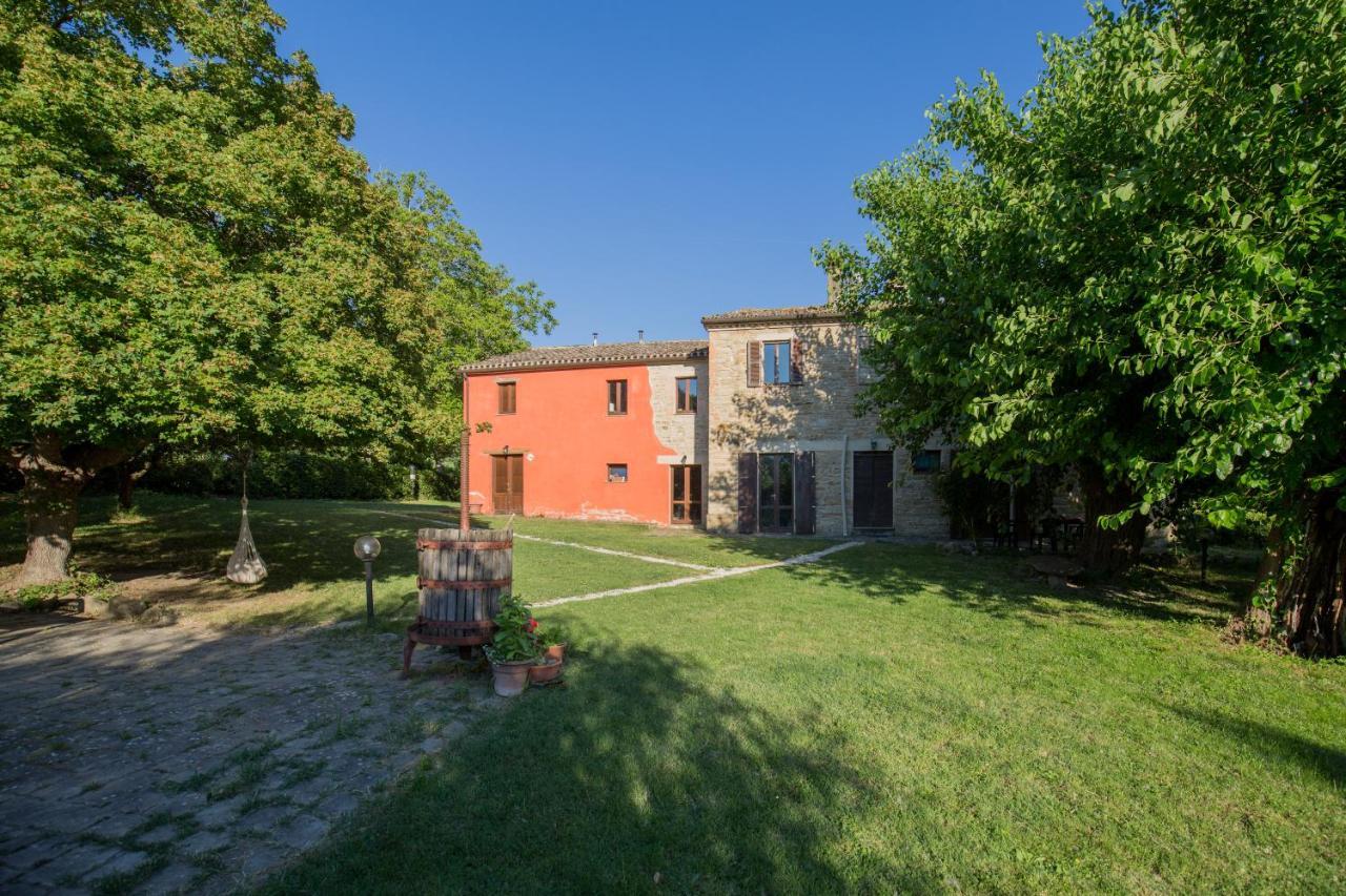 Agriturismo L'Esinante Cupramontana Ngoại thất bức ảnh